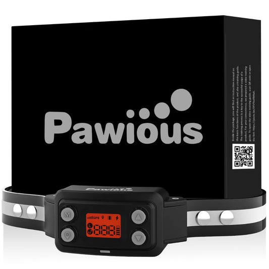 Fido's Freedom Fortress: The GPS Doggie Safe Zone with Brainy AI